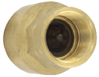 Dwyer Brass Inline Check Valve, Series BICV